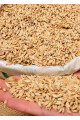 Siyez Buğdayı (Kabuklu) 5 Kg