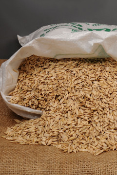Siyez Buğdayı (Kabuklu) 5 Kg