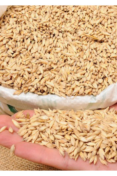 Organik Siyez Buğdayı (Kabuklu) 5 Kg