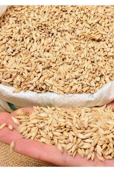 Organik Siyez Buğdayı (Kabuklu) 5 Kg