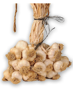Taşköprü Sarımsağı 1000g (İri Boy)