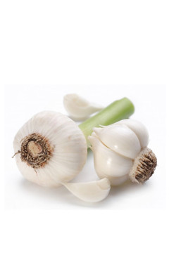 Taşköprü Sarımsağı 1000g (İri Boy)