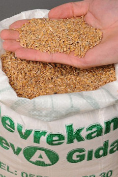Organik Siyez Buğdayı (Taneli) 1 Kg.