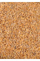 Organik Siyez Buğdayı (Taneli) 10 Kg.