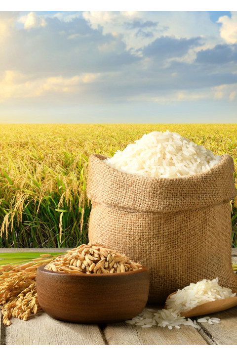 Tosya Sarıkılçık Pirinci 1 Kg