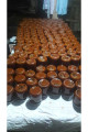 KUŞBURNU MARMELATI ŞEKERSİZ 750G